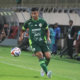 Gustavo Tocantins: PSS Sleman Sudah Temukan Karakter, Tujuh Laga Sisa Adalah Final