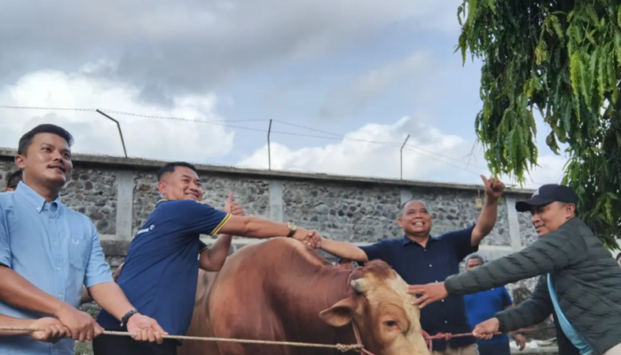 PSSI Beri Sapi Kurban 800 Kg untuk Sleman, Timnas U20 Minta Dukungan Menuju Piala AFF