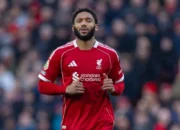 Joe Gomez