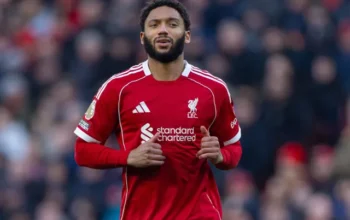 Joe Gomez